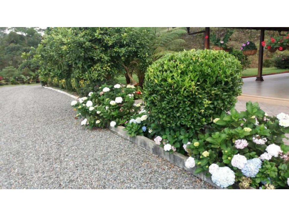 Venta finca Concordia con 44 cuadras y 2.000 palos de aguacate - 4