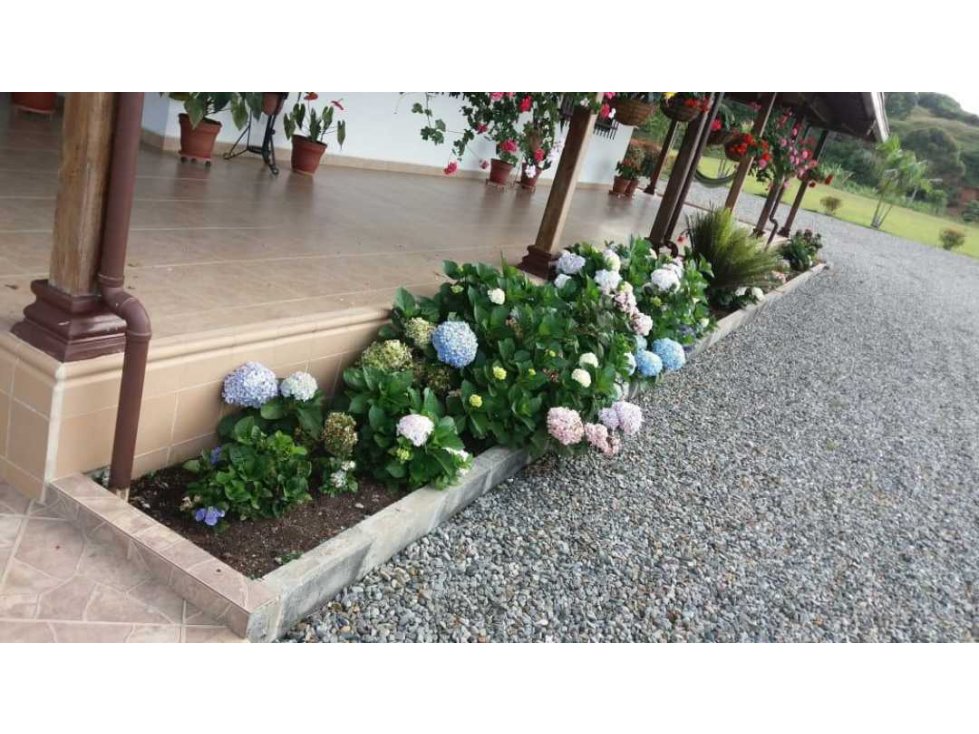 Venta finca Concordia con 44 cuadras y 2.000 palos de aguacate - 5