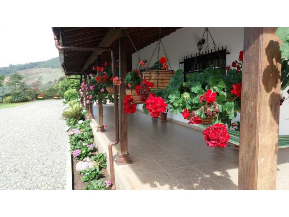 Venta finca Concordia con 44 cuadras y 2.000 palos de aguacate - 6