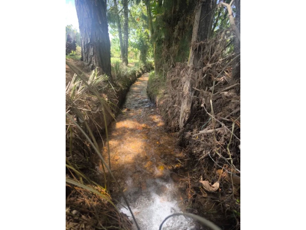 VENTA DE FINCA EN EL ORIENTE ANTIOQUEÑO SAN VICENTE VEREDA CHAPARRAL — foto 5