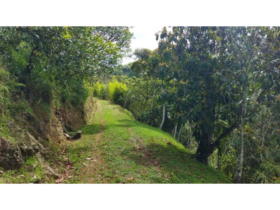 VENTA DE CASA CAMPESTRE EN EL RETIRO, ANTIOQUIA. - 5