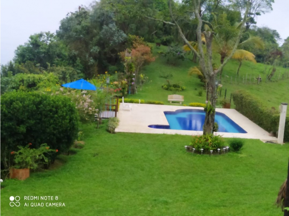 Venta de finca en Fredonia Antioquia — foto 4