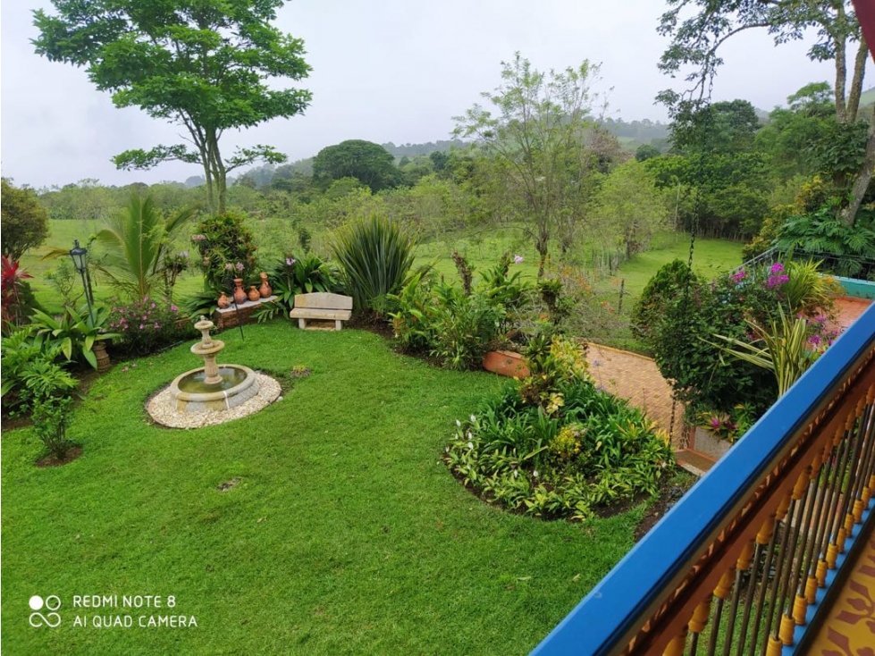 Venta de finca en Fredonia Antioquia — foto 5
