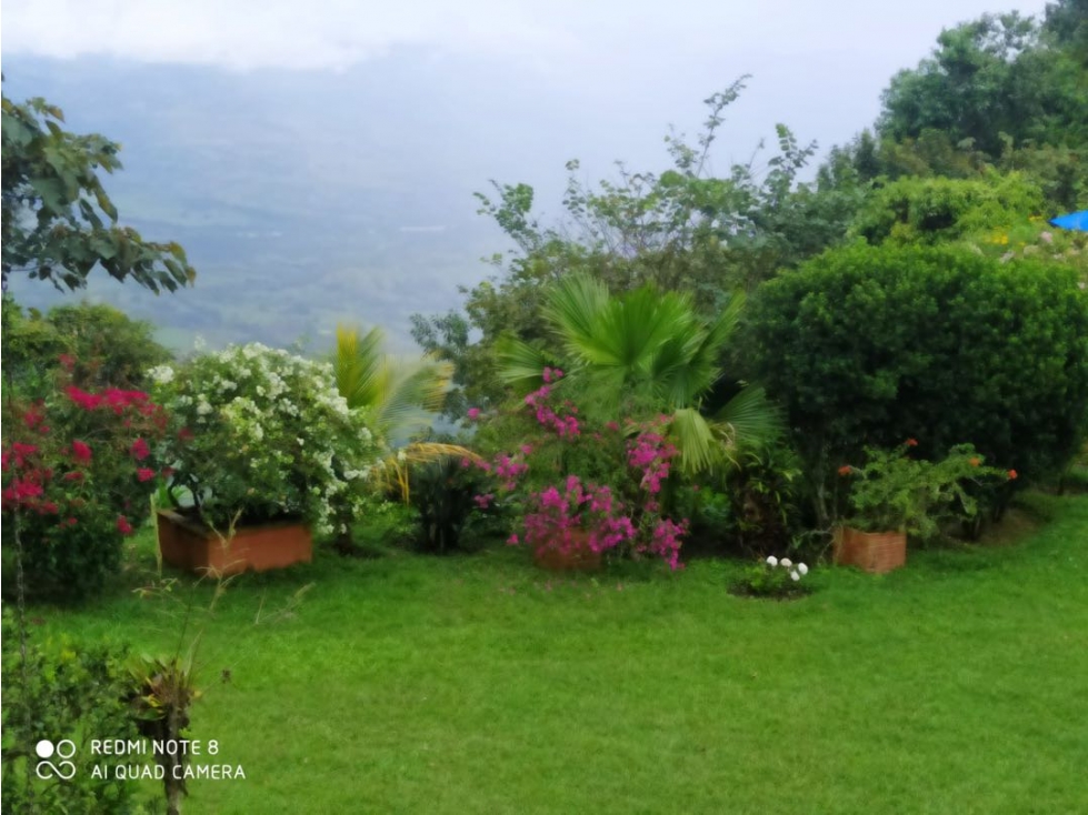 Venta de finca en Fredonia Antioquia — foto 6