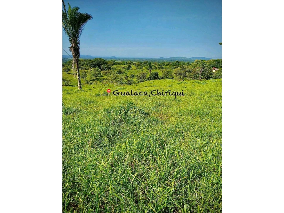 VENTA DE FINCA EN GUALACA 5 HECTAREAS - 2