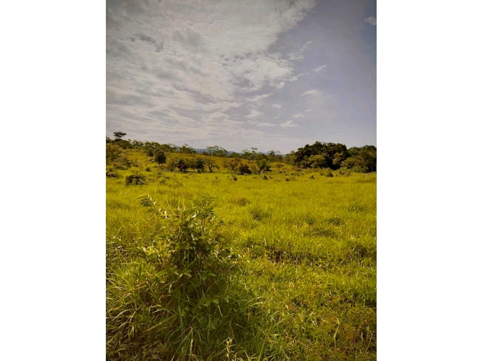VENTA DE FINCA EN GUALACA 5 HECTAREAS - 3