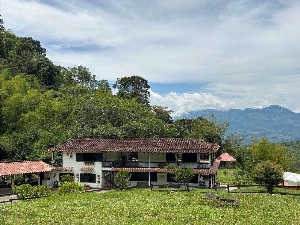 VENTA DE FINCA EN JERICO SUROESTE ANTIOQUEÑO - 4