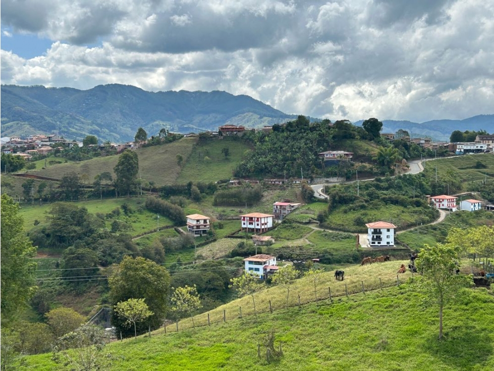 VENTA DE LOTE EN JERICO suroeste de Antioquia - 3