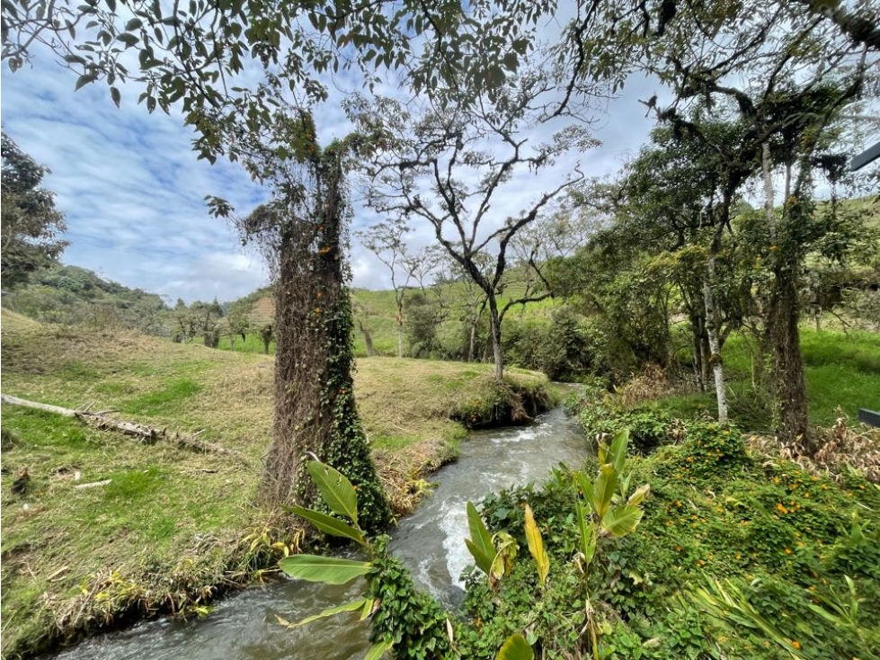 Venta De Finca En La Ceja