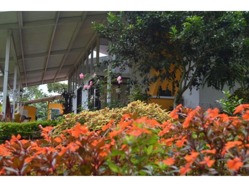 VENTA DE FINCA EN EL CARMEN - VALLE - 2