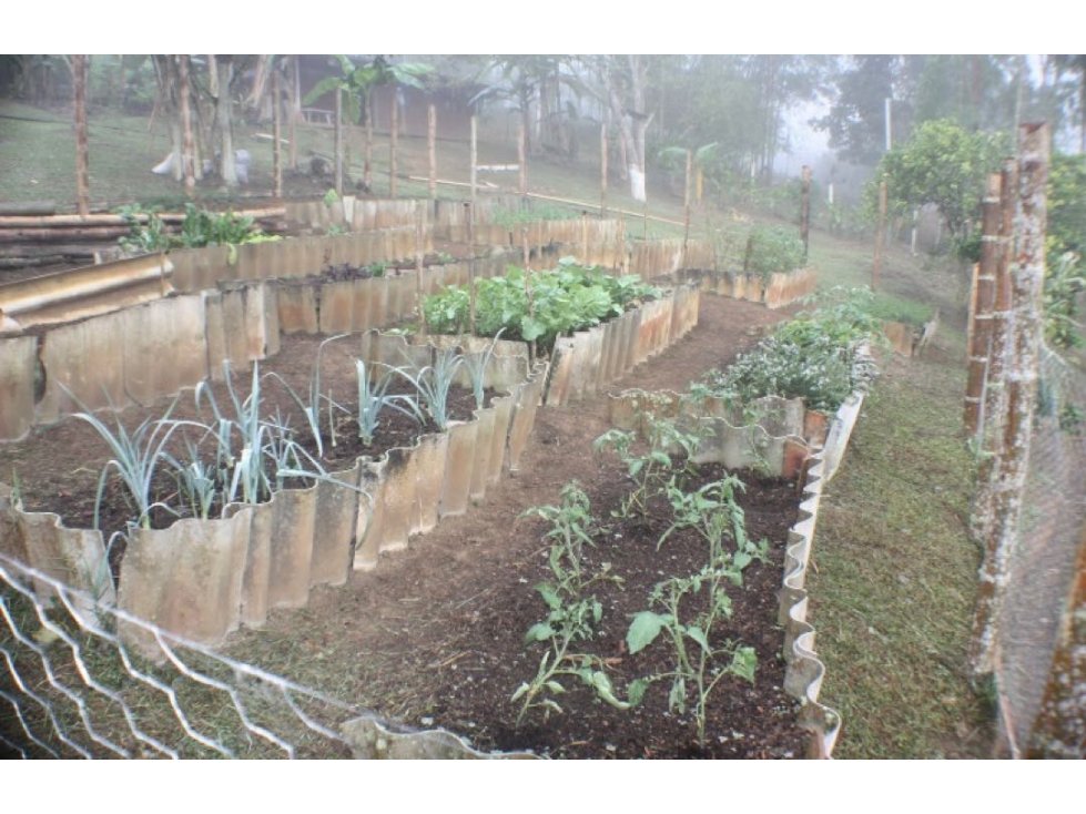 VENTA DE FINCA EN EL CARMEN - VALLE - 3