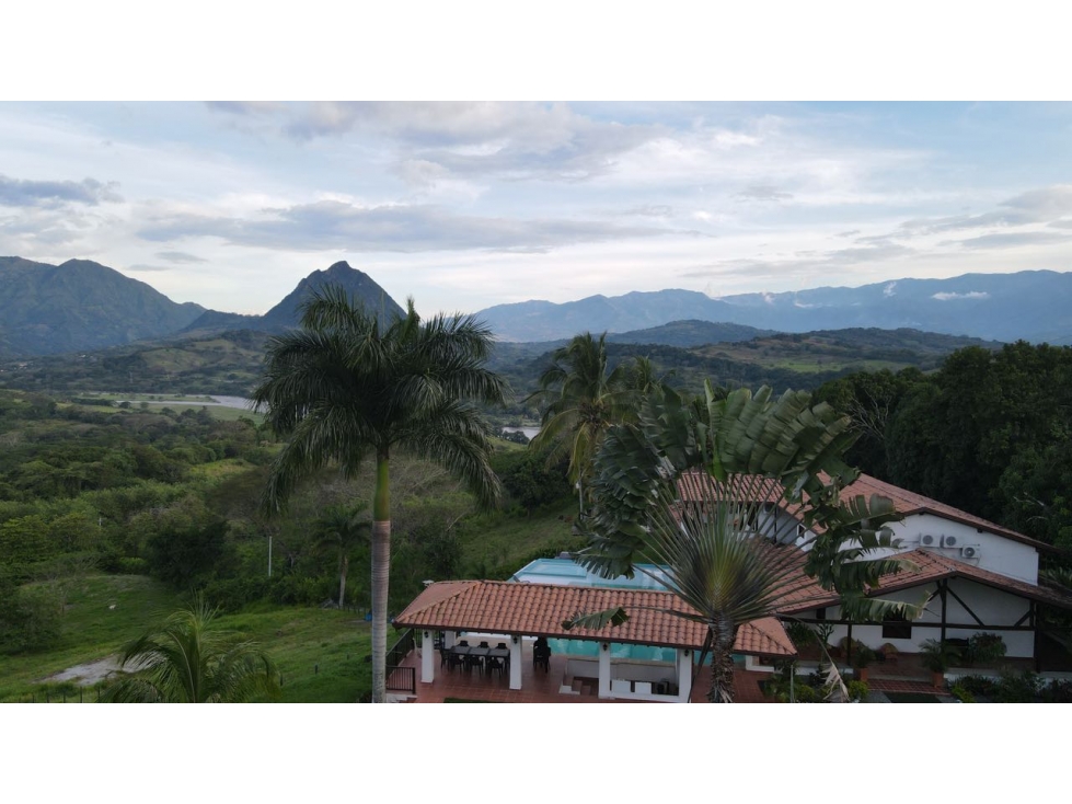 VENTA DE FINCA EN LA PINTADA SUROESTE DE ANTIOQUIA - 4