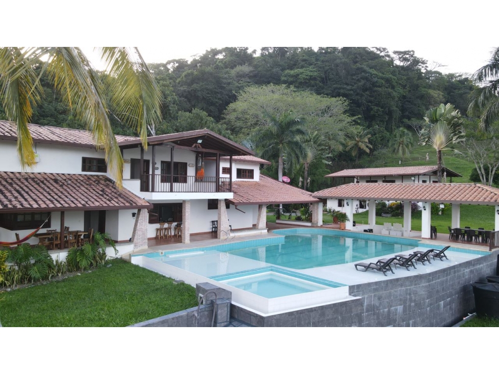 VENTA DE FINCA EN LA PINTADA SUROESTE DE ANTIOQUIA - 5
