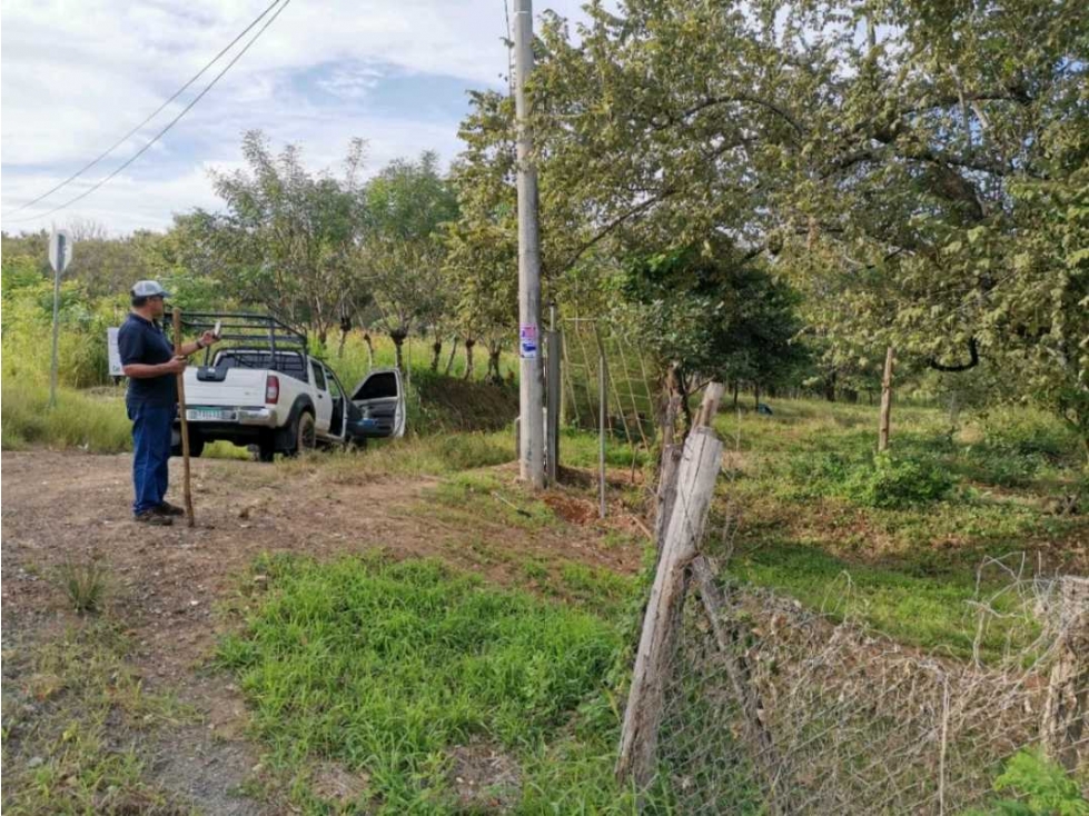 VENTA DE FINCA EN LAS CABEZAS DE PEDASI 17 HECTAREAS - 3