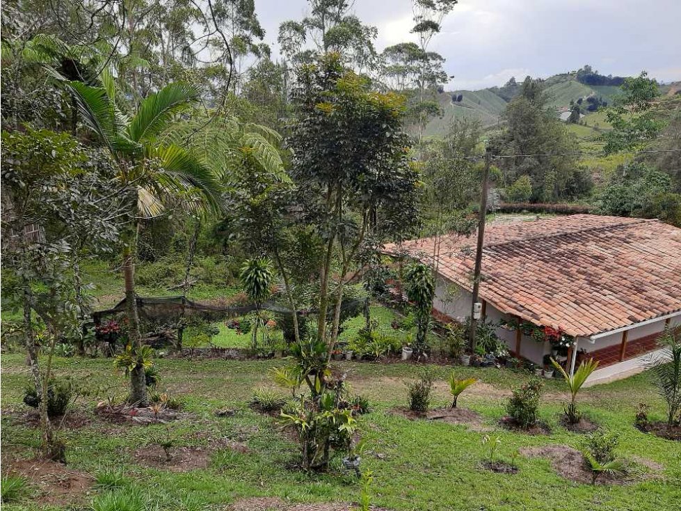 Venta de Finca en Marinilla — foto 6