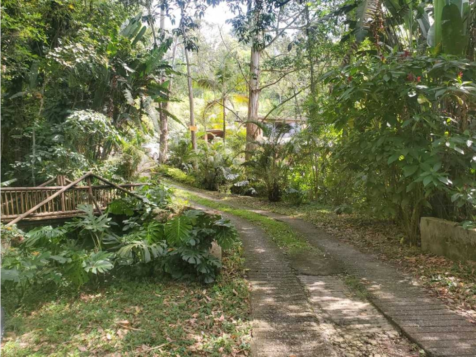 VENTA FINCA INDEP EN PLENA CIUDAD IDEAL VIVIENDA CAMPESTRE O EMPRESA — foto 4
