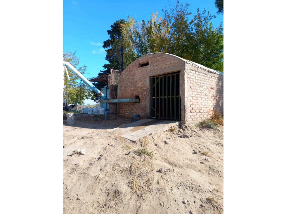 VENTA DE FINCA 53 HAS SAN MARTÍN, MENDOZA - 5