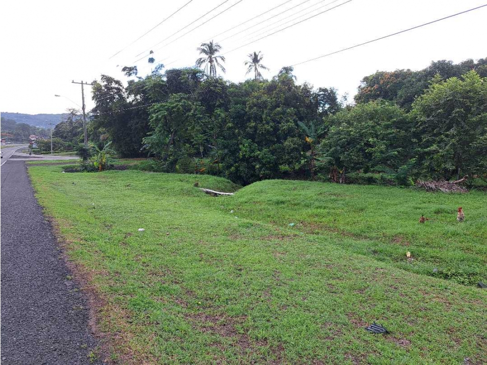 VENTA DE FINCA EN SAJALICES, CHAME PARA NEGOCIO, OPORTUNIDAD ÚNICA - 2