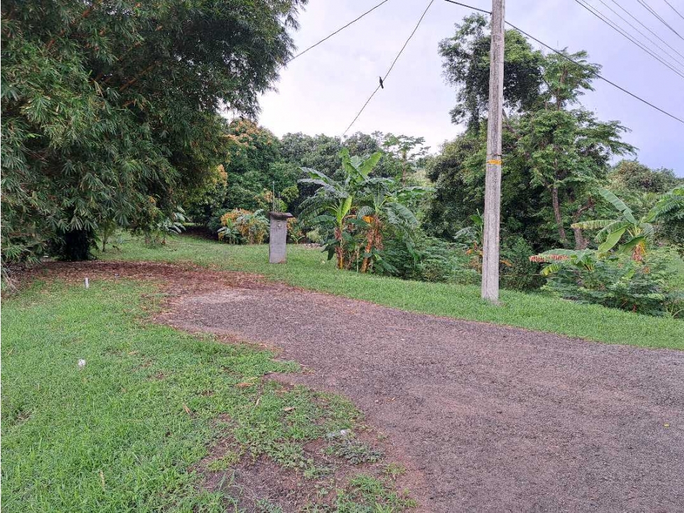 VENTA DE FINCA EN SAJALICES, CHAME PARA NEGOCIO, OPORTUNIDAD ÚNICA - 3