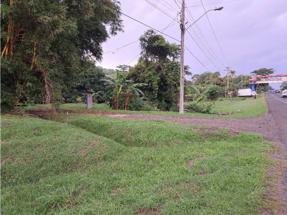 VENTA DE FINCA EN SAJALICES, CHAME PARA NEGOCIO, OPORTUNIDAD ÚNICA - 4