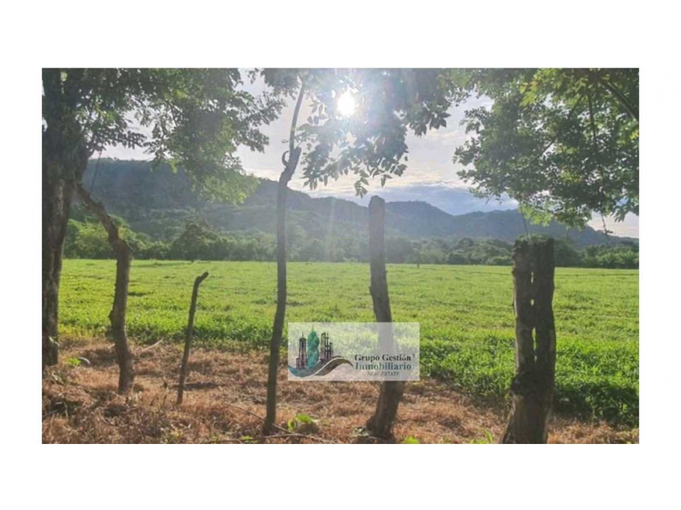 VENTA DE FINCA EN SAN PABLO VIEJO 3 HECTAREAS + 8,723 METROS — foto 2