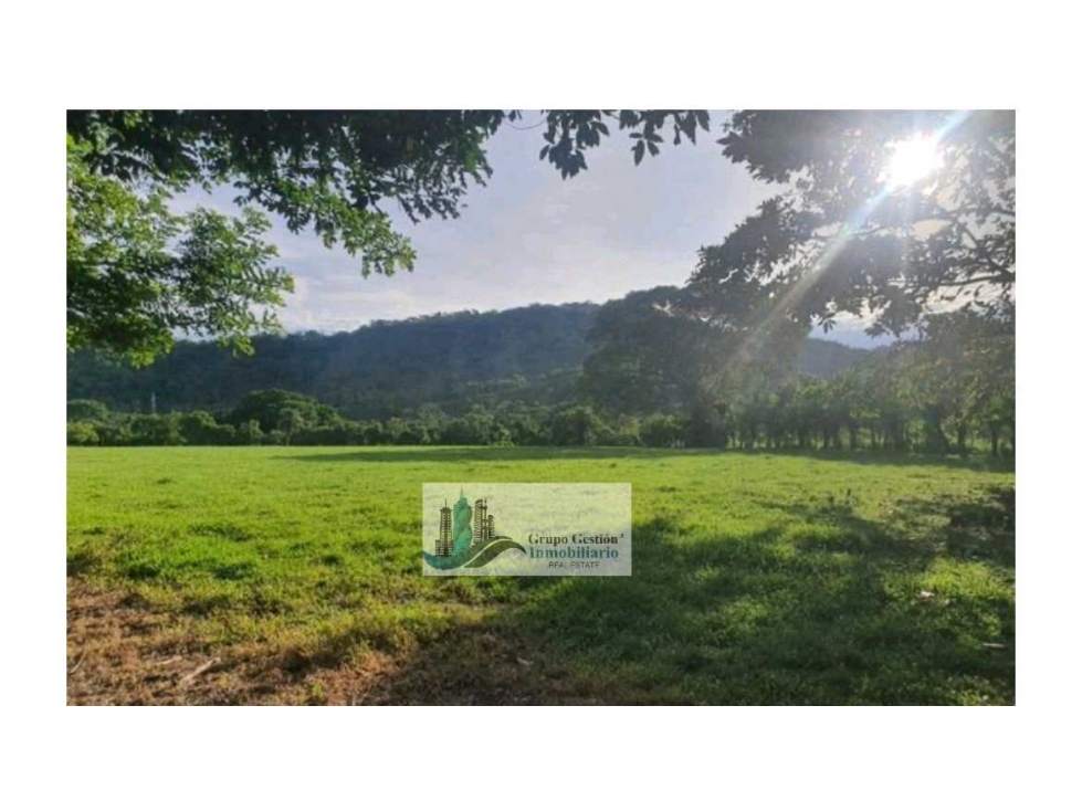 VENTA DE FINCA EN SAN PABLO VIEJO 3 HECTAREAS + 8,723 METROS — foto 3