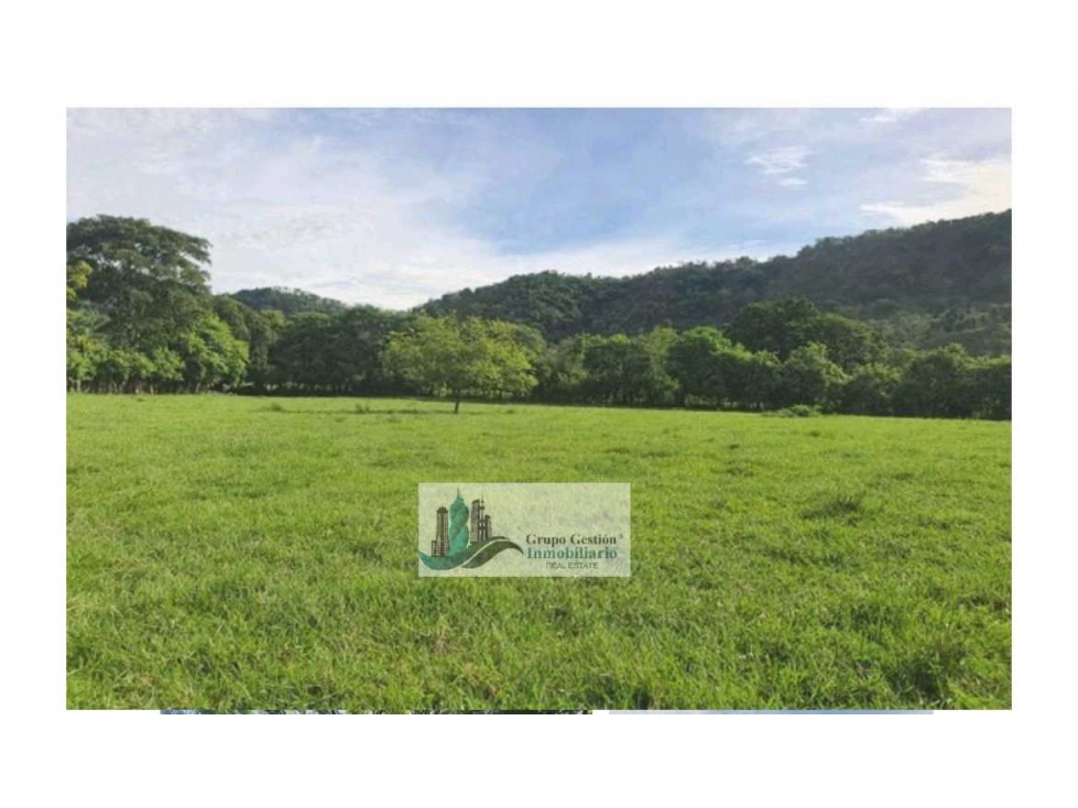 VENTA DE FINCA EN SAN PABLO VIEJO 3 HECTAREAS + 8,723 METROS — foto 4
