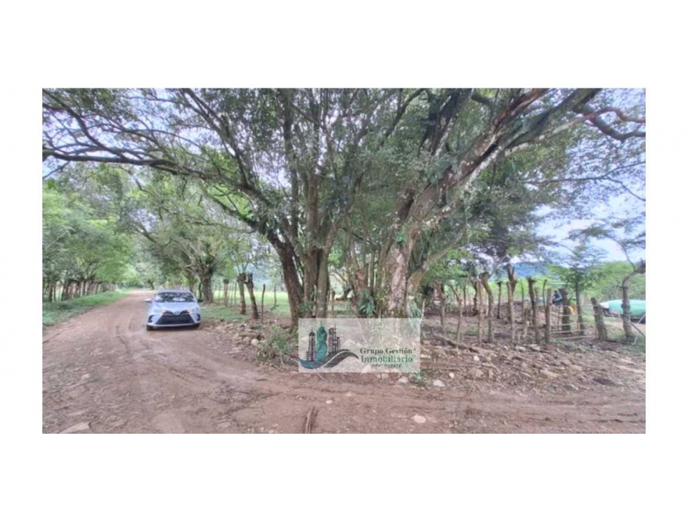 VENTA DE FINCA EN SAN PABLO VIEJO 3 HECTAREAS + 8,723 METROS — foto 5