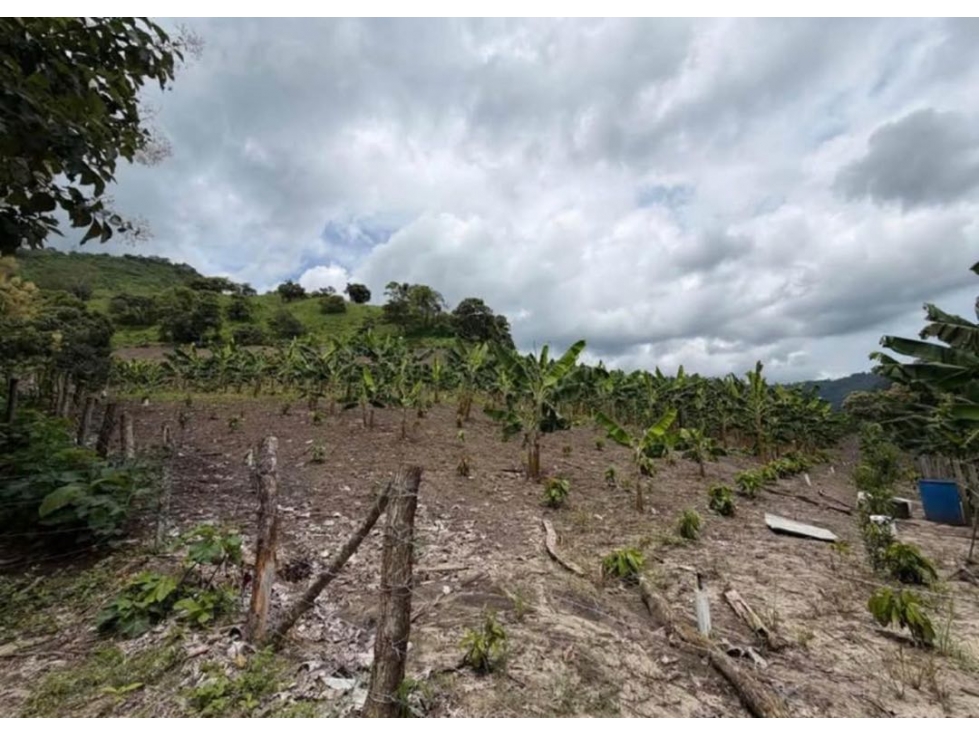 Venta de Finca en Santa Ana-Manabí.. - 3
