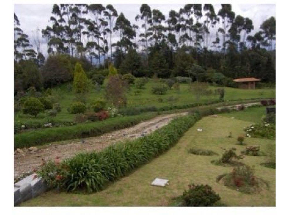 Venta de FINCA en SANTA ELENA, ideal para hotel, restaurante temático - 2