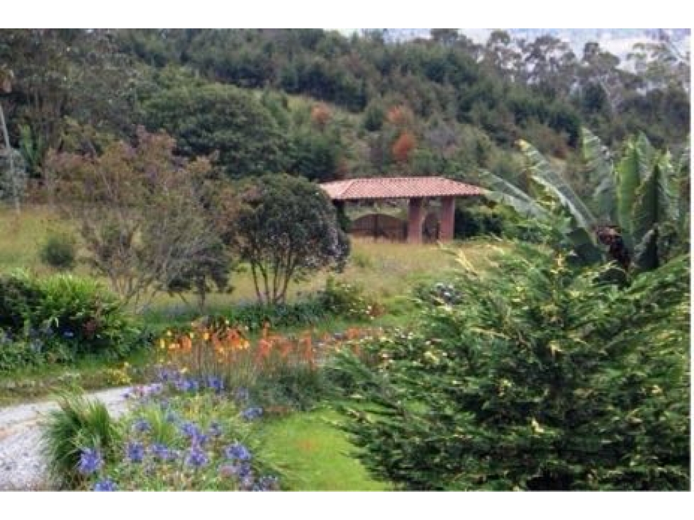 Venta de FINCA en SANTA ELENA, ideal para hotel, restaurante temático - 5