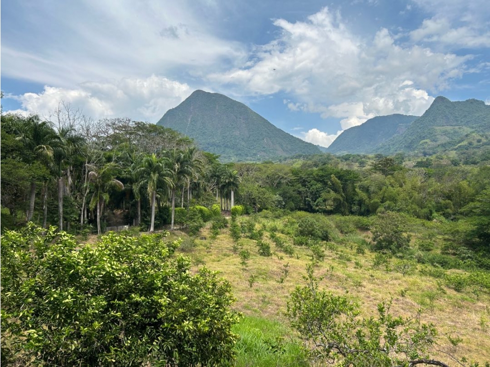 VENTA DE FINCA EN VENECIA SUROESTE ANTIOQUEÑO