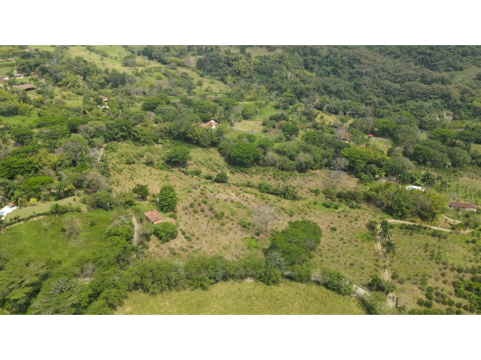 VENTA DE FINCA EN VENECIA SUROESTE ANTIOQUEÑO — foto 4