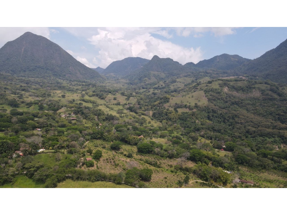VENTA DE FINCA EN VENECIA SUROESTE ANTIOQUEÑO — foto 6