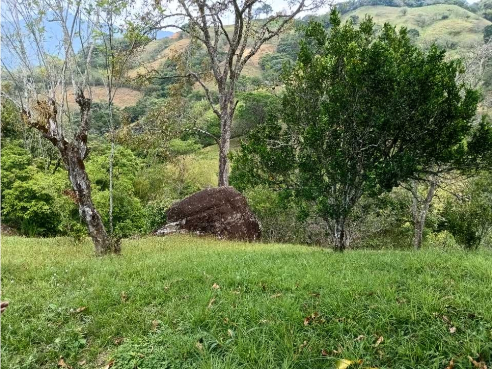 Venta de Finca en Venecia Suroeste Antioqueño — foto 4