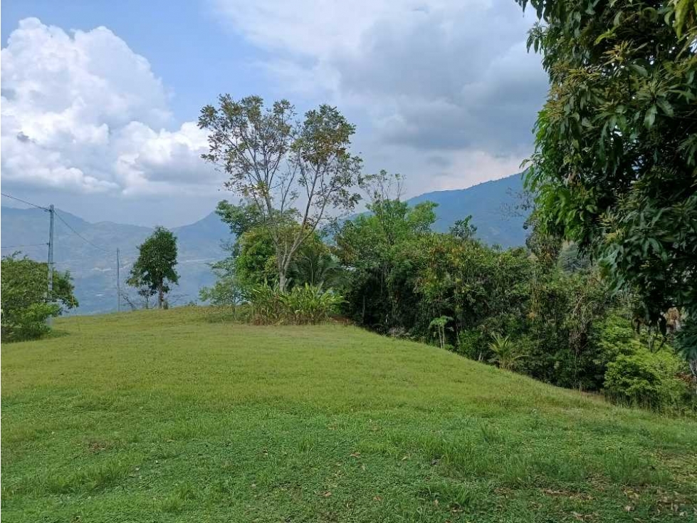 Venta de Finca en Venecia Suroeste Antioqueño — foto 5