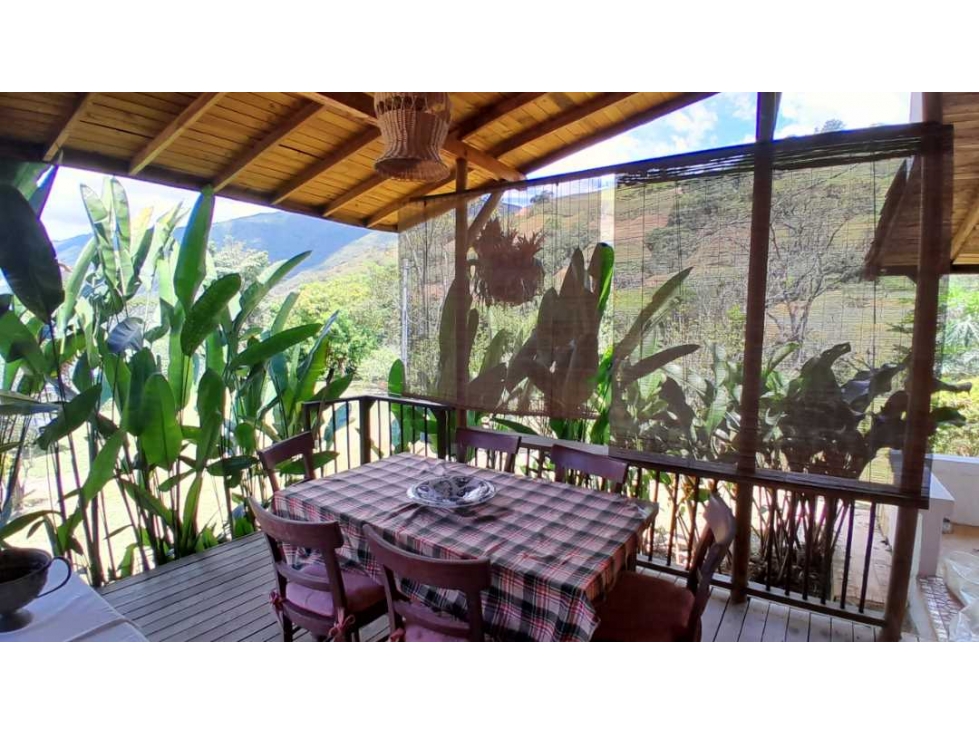 VENTA DE FINCA EN VENECIA SUROESTE DE ANTIOQUIA — foto 3