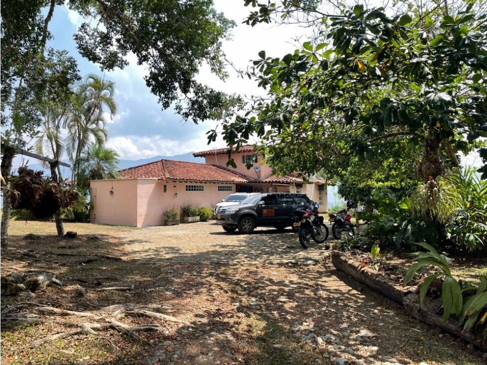Venta Finca Venecia Suroeste de Antioquia — foto 3