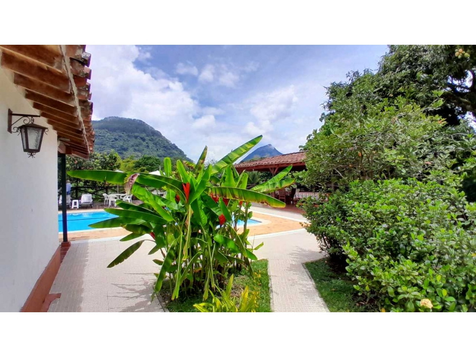 VENTA DE FINCA EN VENECIA SUROESTE DE ANTIOQUIA — foto 6