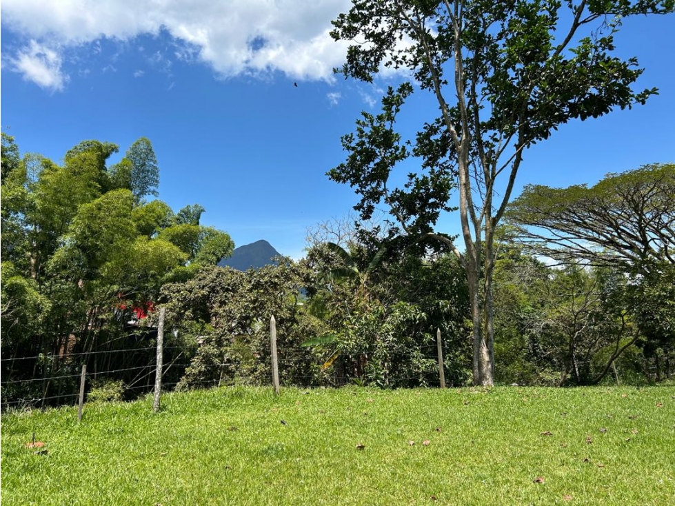 Venta de finca en venecia suroeste de Antioquia — foto 2