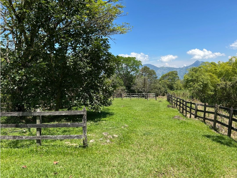 Venta de finca en venecia suroeste de Antioquia — foto 5