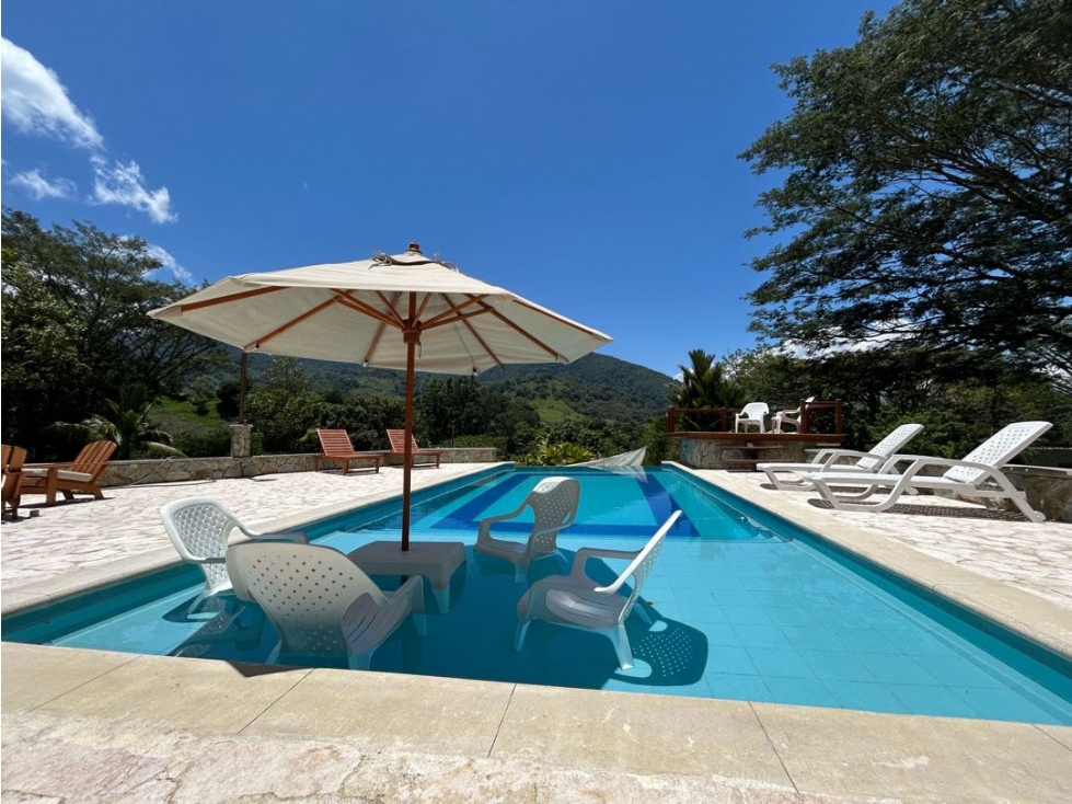 VENTA DE FINCA EN VENECIA SUROESTE ANTIOQUEÑO — foto 4