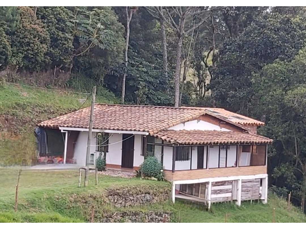 VENTA DE FINCA INDEPENDIENTE EN EL ALTO DE PALMAS SECTOR LA ESPERANZA
