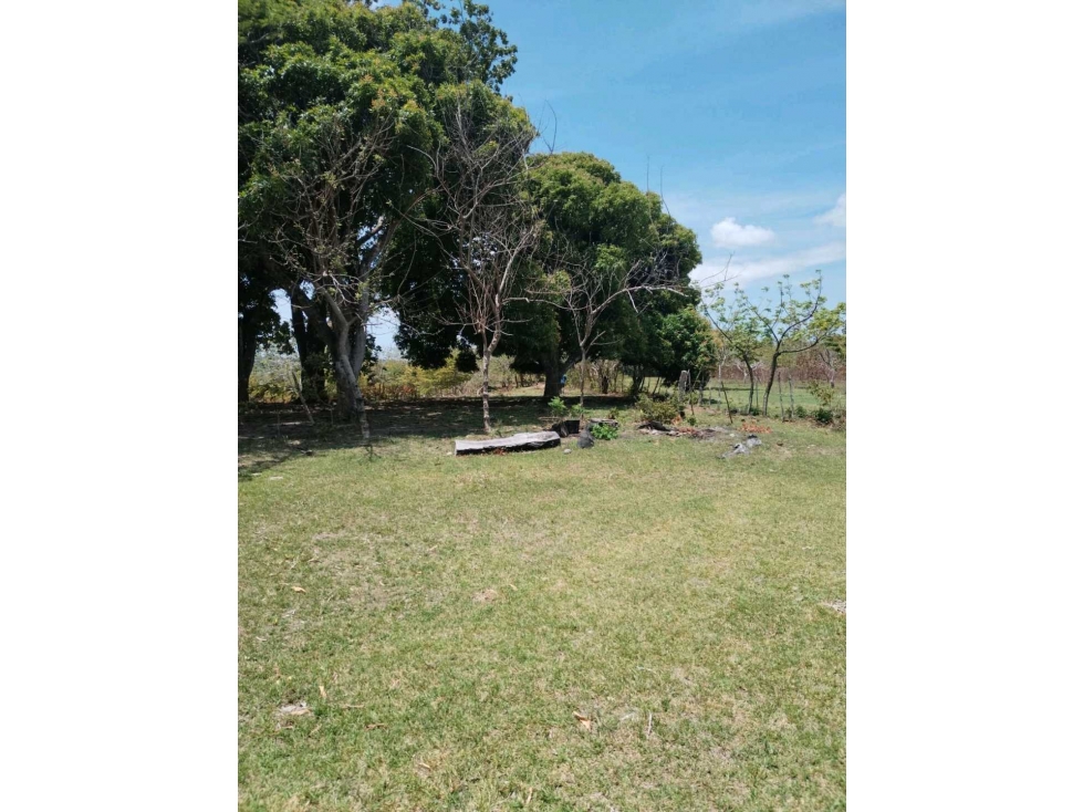 Venta de Finca la Reyna en Coclé - 3