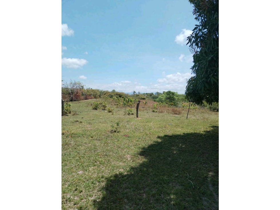 Venta de Finca la Reyna en Coclé - 4