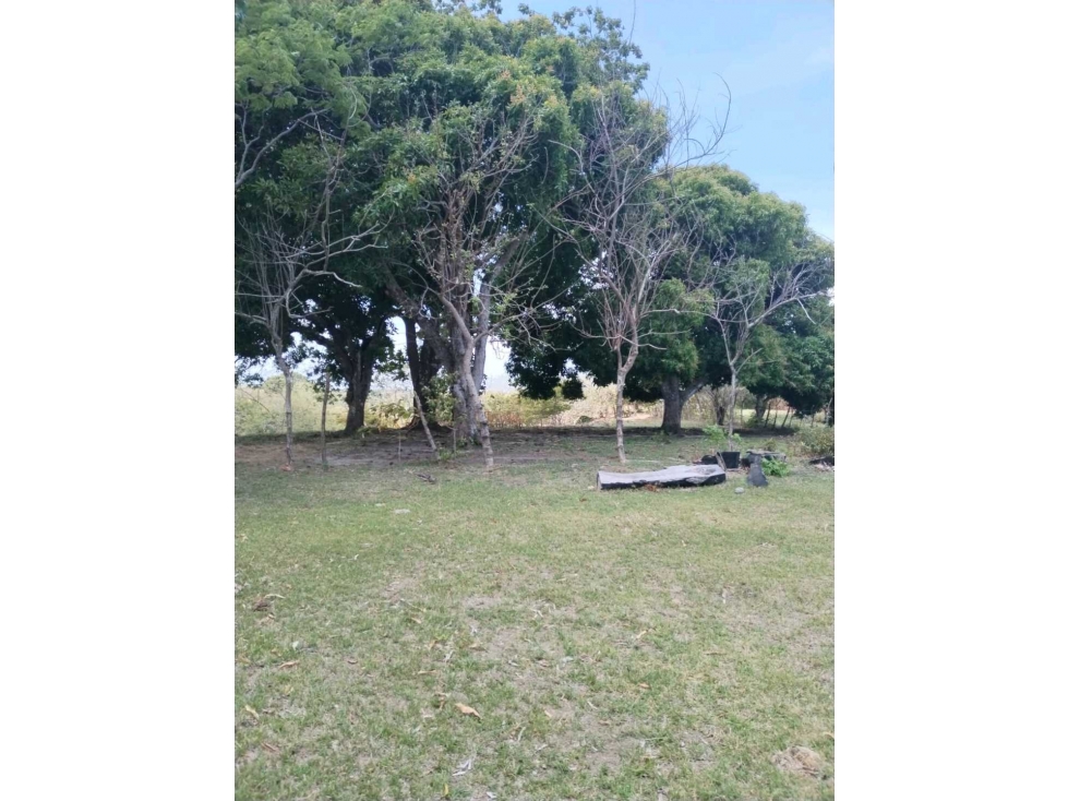 Venta de Finca la Reyna en Coclé - 5