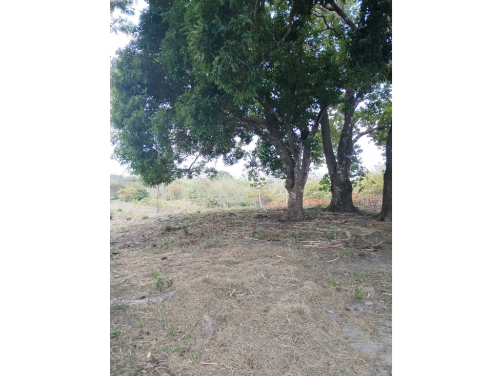 Venta de Finca la Reyna en Coclé - 6