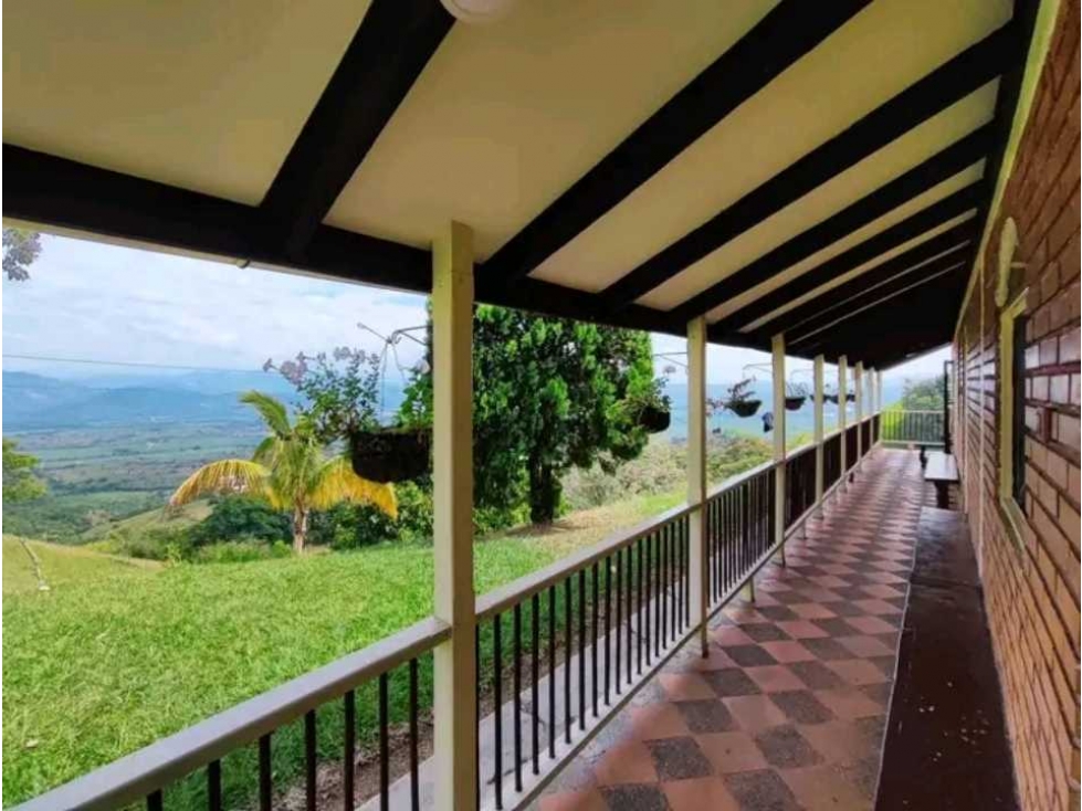 VENTA DE FINCA LA VIRGINIA - BALBOA RISARALDA - 5