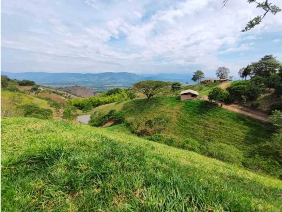 VENTA DE FINCA LA VIRGINIA - BALBOA RISARALDA - 6
