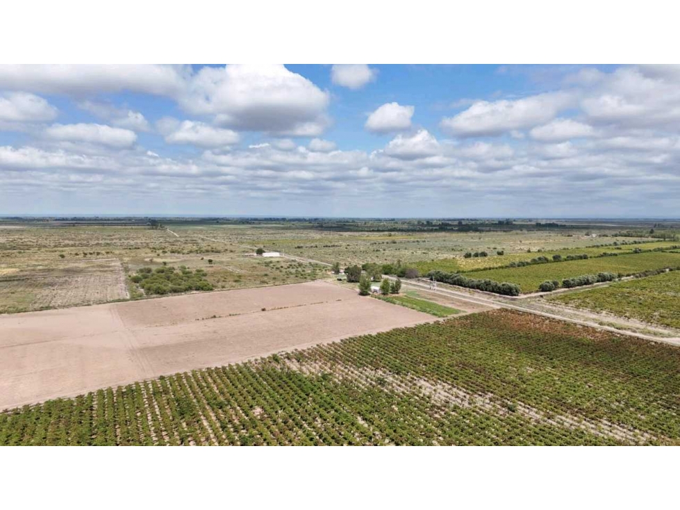 VENTA DE FINCA DE 79 HAS SAN MARTÍN, MZA. - 3